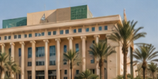 Government sector